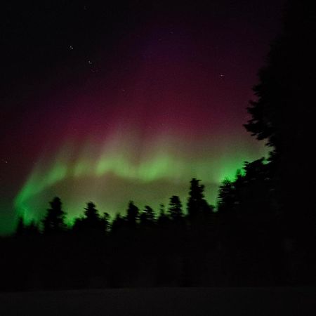 Isokelo Log Apartments Salla Buitenkant foto