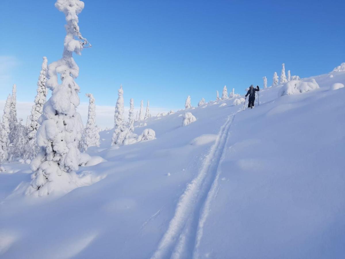 Isokelo Log Apartments Salla Buitenkant foto