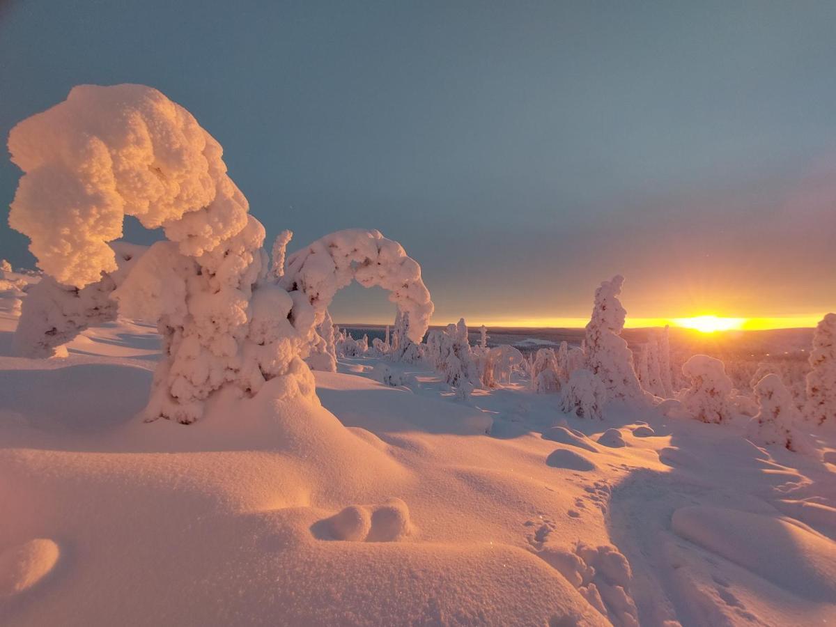 Isokelo Log Apartments Salla Buitenkant foto