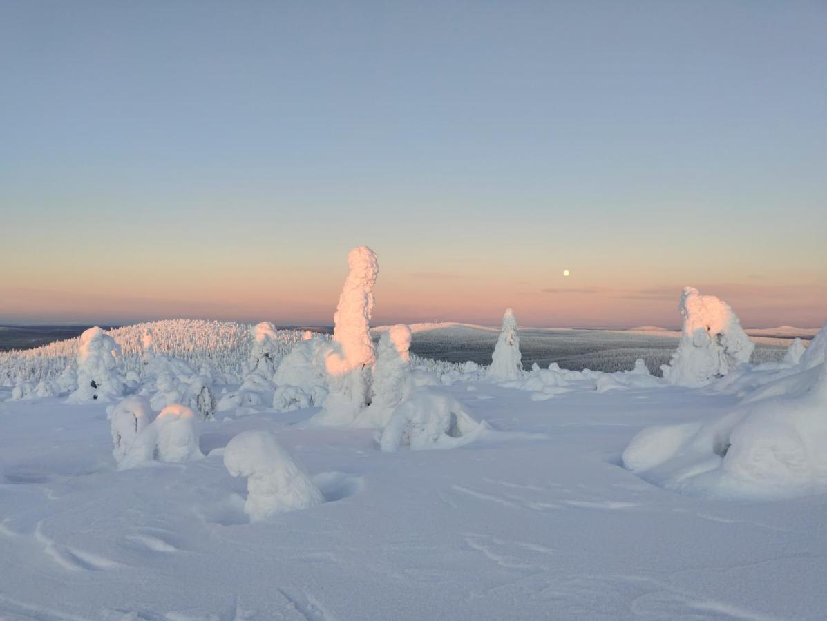 Isokelo Log Apartments Salla Buitenkant foto